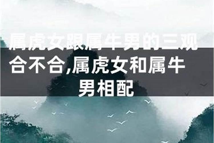 属虎女跟属牛的合不合