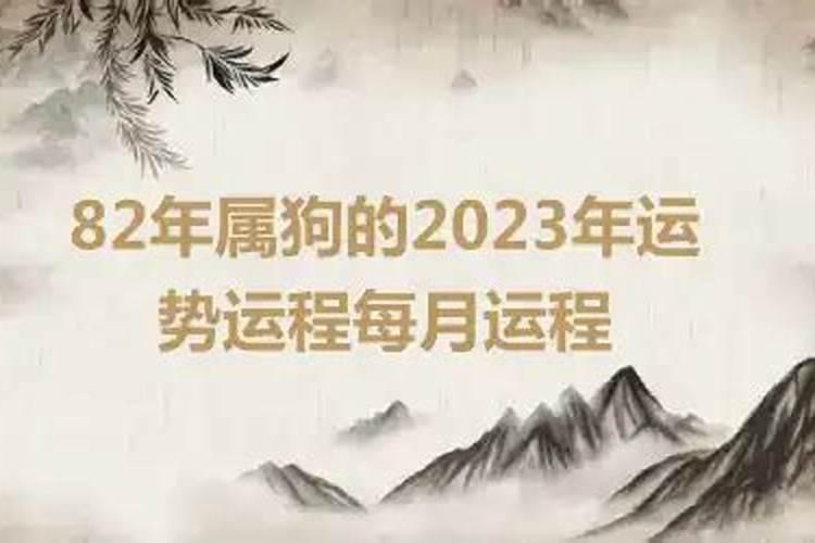 属狗的2023年的运势怎么样