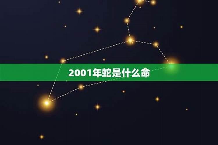 2001年属蛇五行什么命