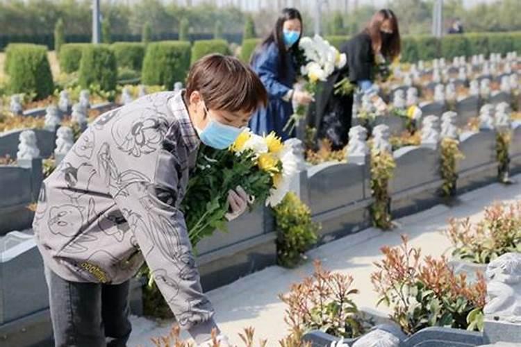 清明节怎样网络祭扫