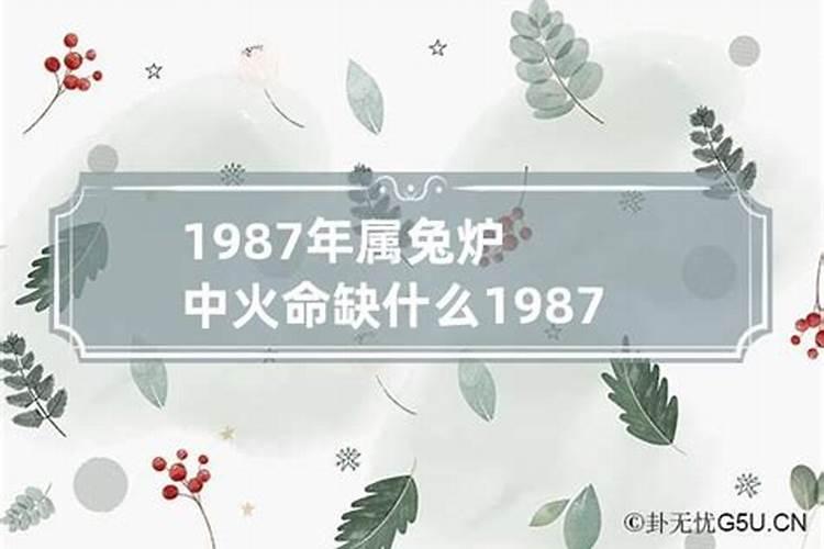 1987年属兔炉中火命五行缺什么