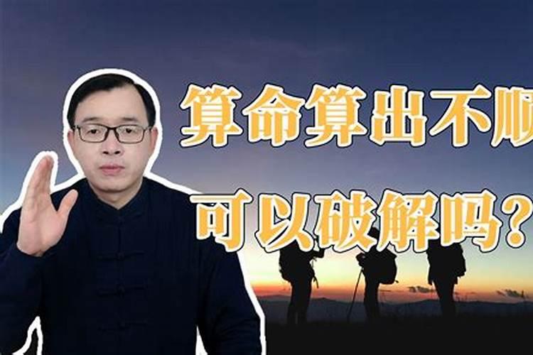 梦到狗生宝宝意味着什么周公解梦