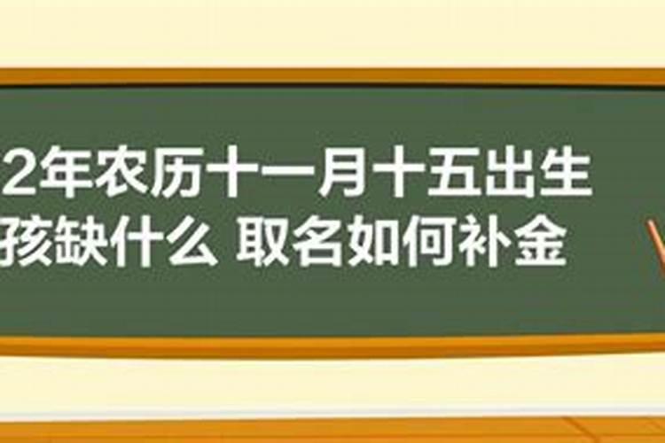 1995属猪的女人什么命格最好