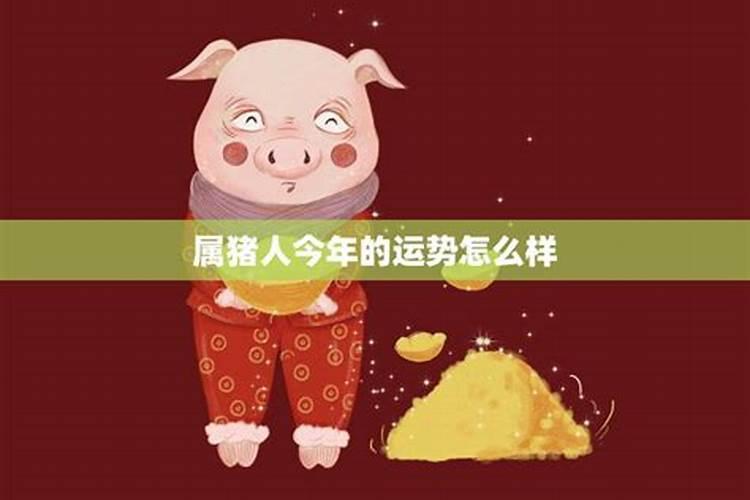 属猪人2月份运势如何