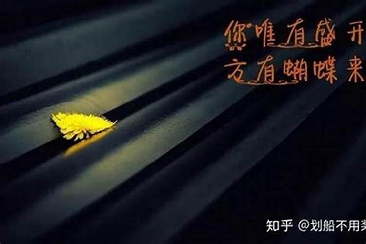 清明节的什么时候