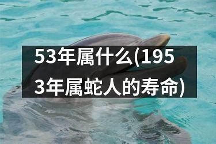 53年属蛇的终身寿命很短暂吗1951年属什么年