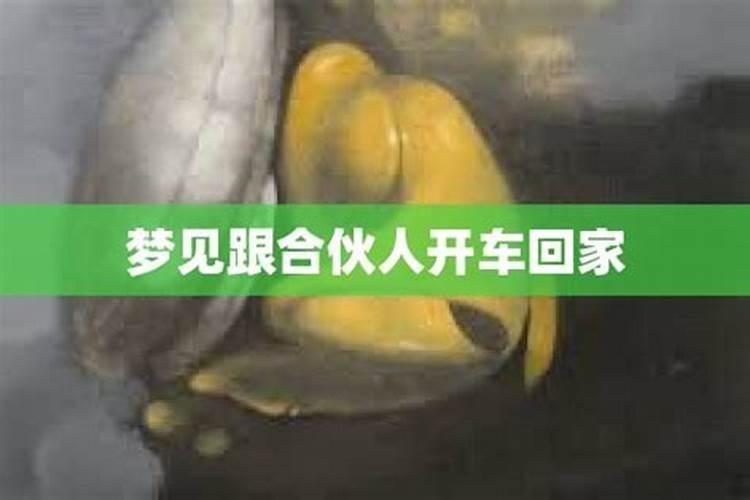 梦到儿子跟我一起开车回家了