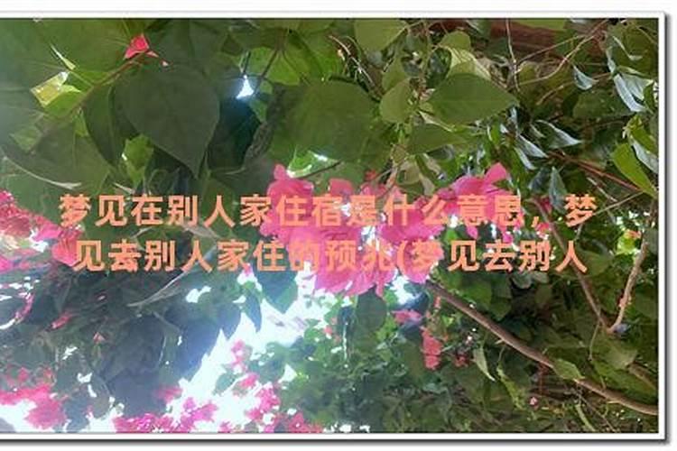 梦见表哥在我家住