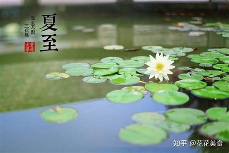 夏至后一天是什么日子