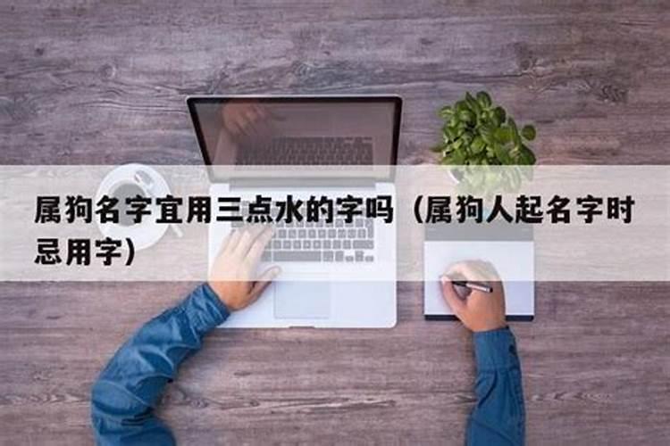 属狗名字里忌讳什么偏旁