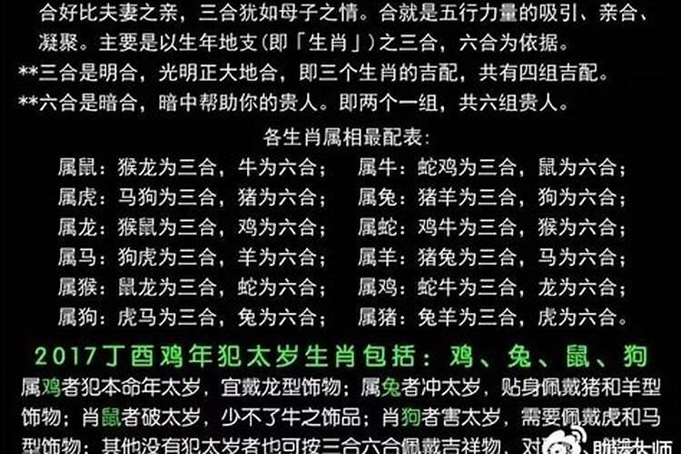 鸡狗相冲用什么生肖化解