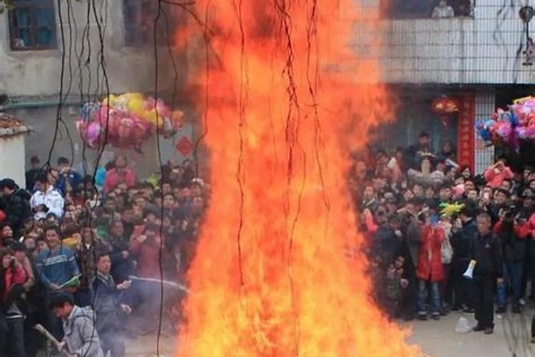 清明节祭祖摆什么花