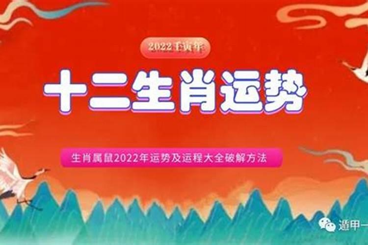 属狗2023年运势及运程幸运颜色