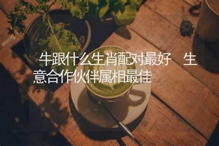 生肖牛跟什么生肖匹配