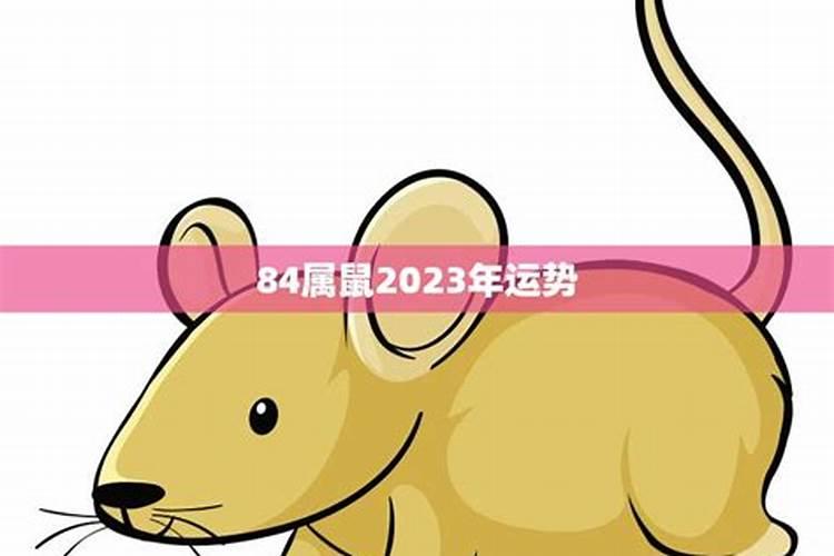 查看属鼠2023年运势