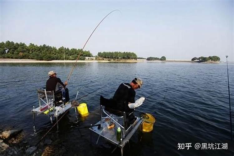 阴历正月初五的生日是什么星座