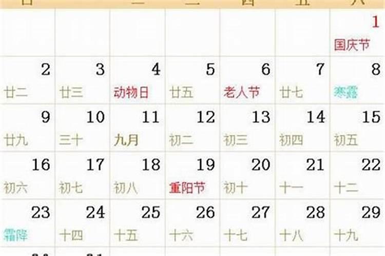 农历5月五行属什么