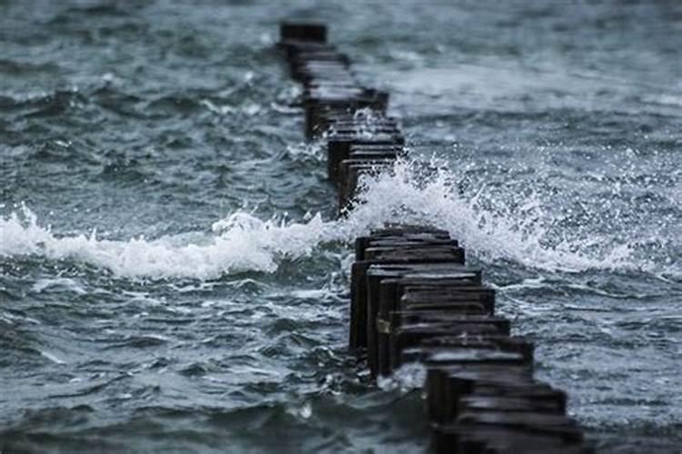 梦见涨水淹没道路了