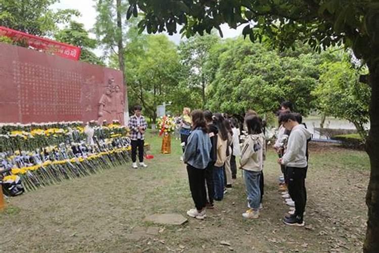 开展清明祭先烈扫墓活动