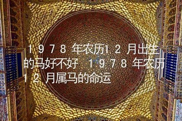 1978属马11月的命运如何