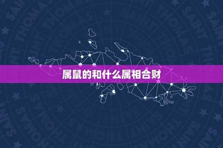 2021年属鼠的和属什么的合财