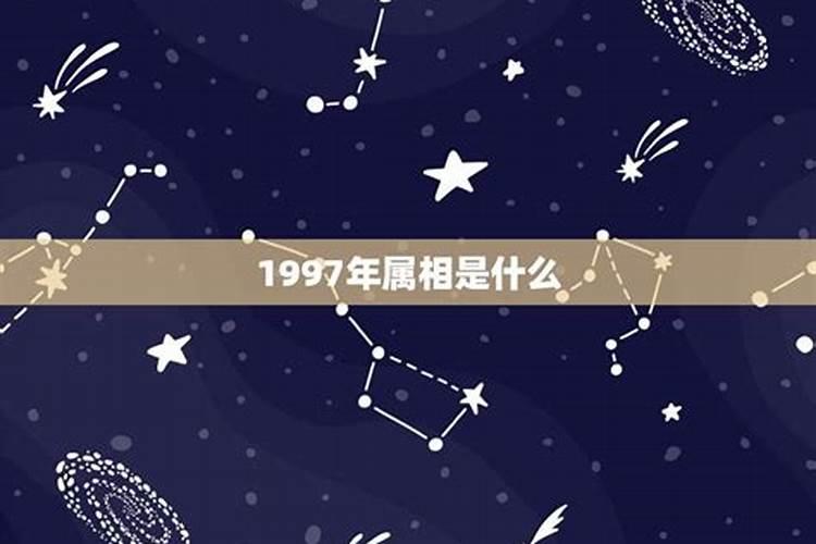 1997年属什么生肖什么星座