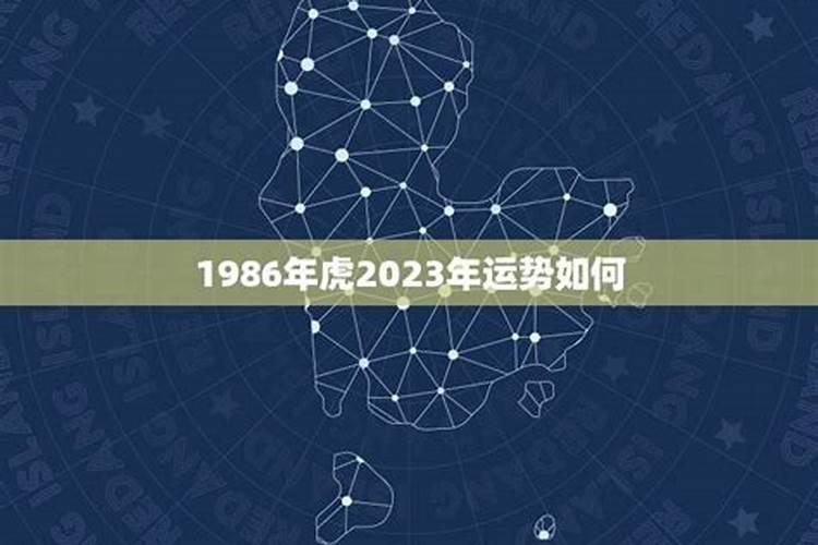 1986年的运气如何