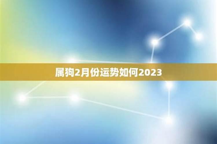 2023属狗农历2月运程如何