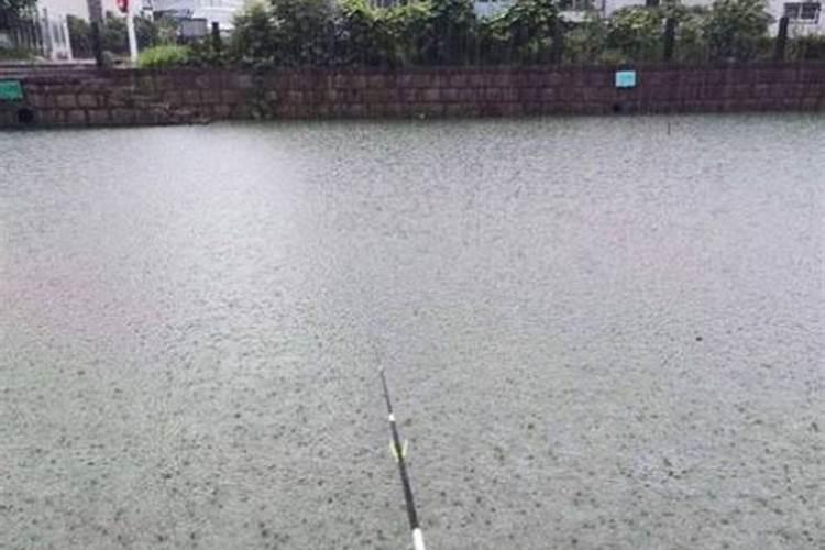 夏至当天下大雨