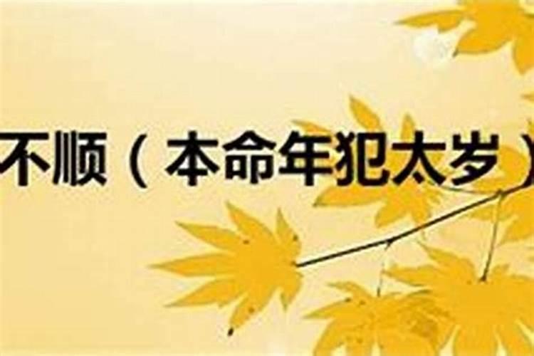 今年六十虚岁属什么的