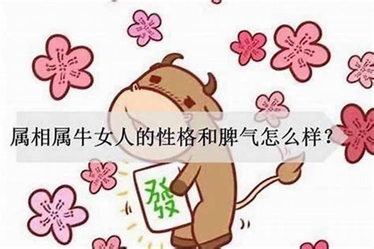 属兔女最配什么属性男