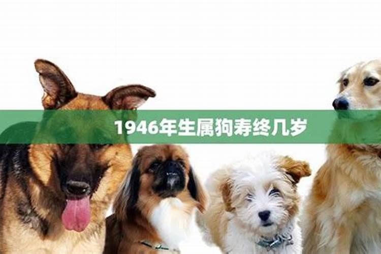 82年属牛的人2023年运程