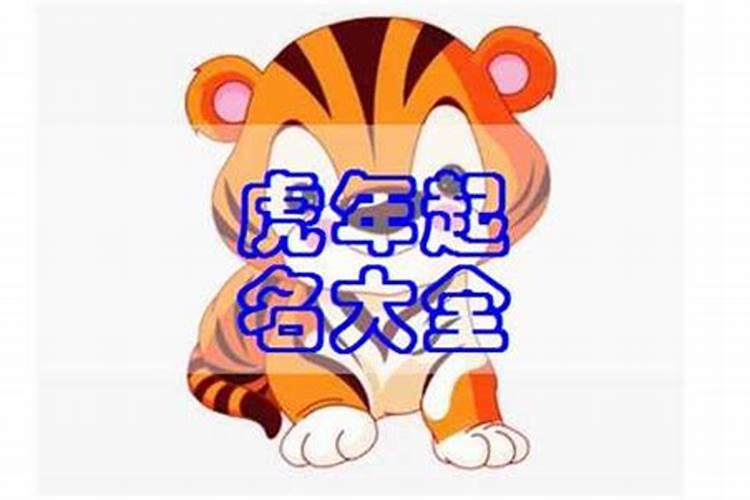 南方八字和玄奥八字哪个准