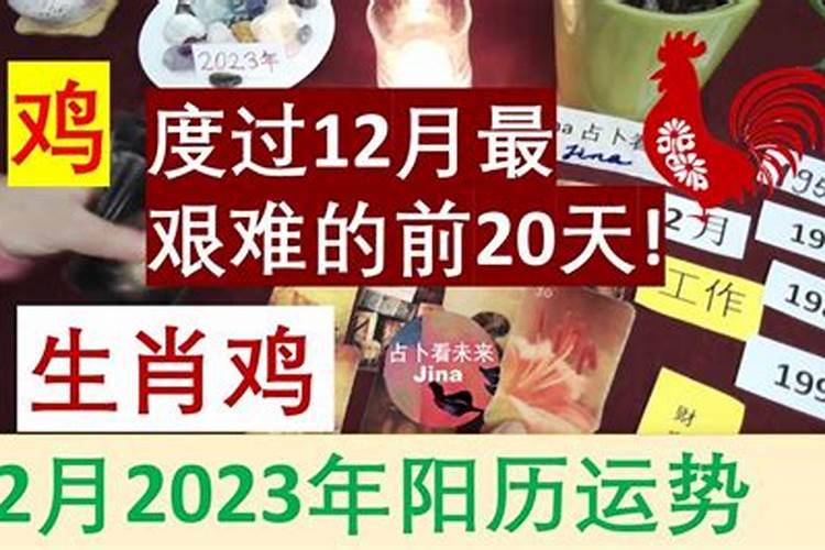 2023年阳历8月鸡人运势如何