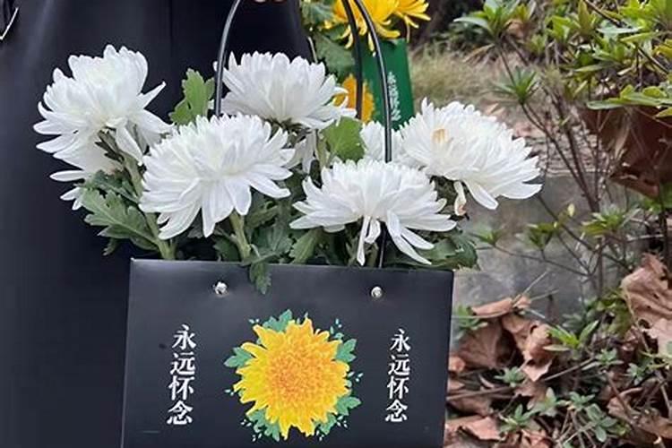 清明节祭生肖