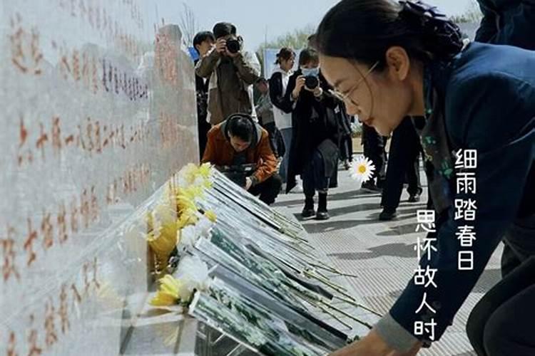 清明节祭生肖