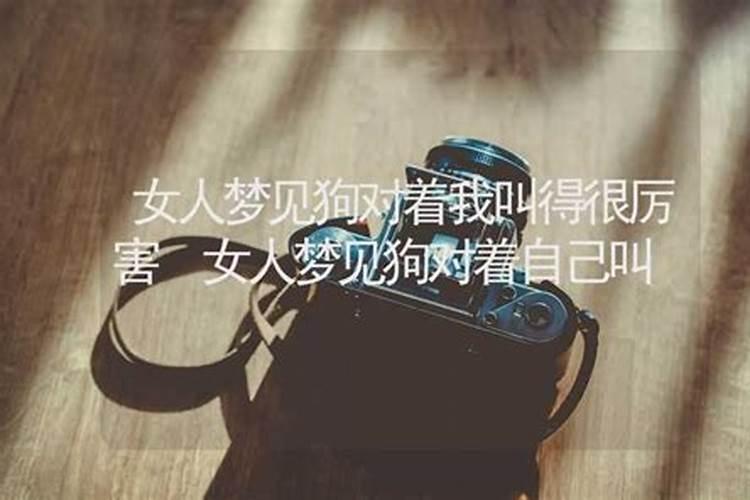 梦见女人对我很主动