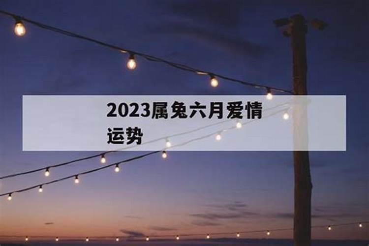 2023年属兔的什么运程最好