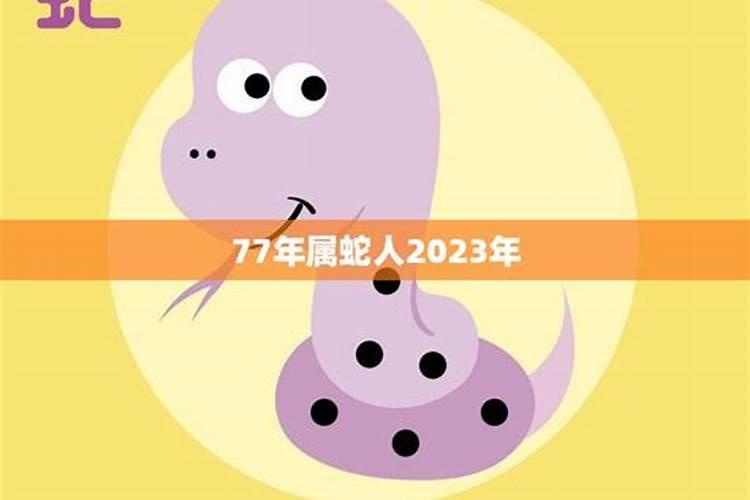 2023年蛇年运势如何