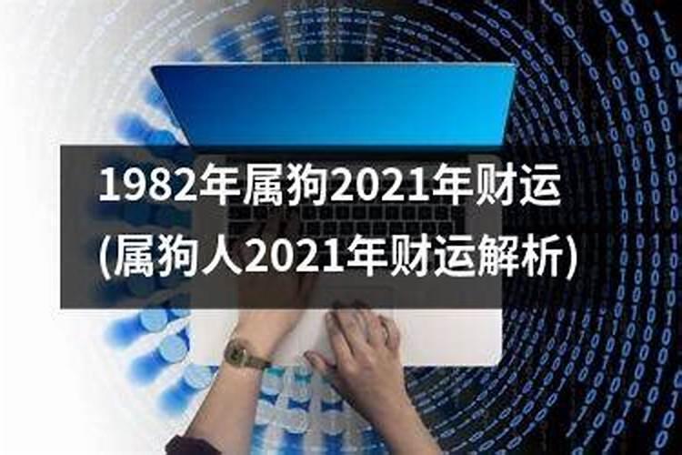 属狗2021年5月