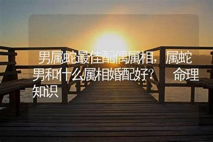 男蛇与什么属相婚配好一点