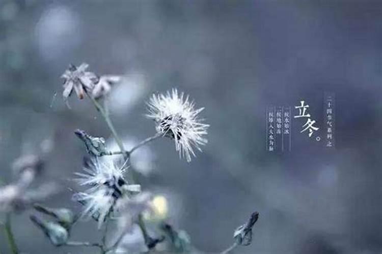 立冬是农历几月几日2021春节