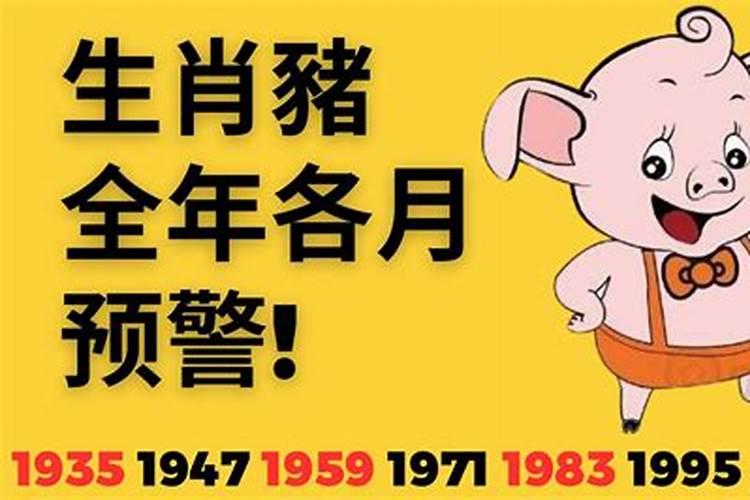 86年属虎和76年属龙一生运程