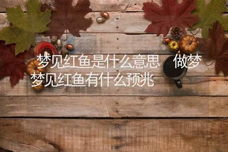 梦见红鱼是什么兆头啊