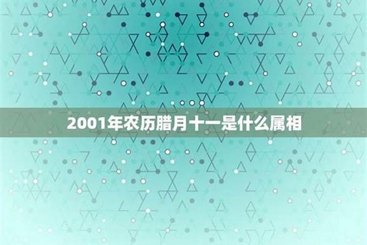 腊月十一是几月几日生日