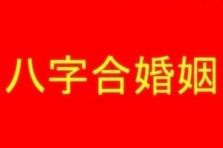 结婚是看八字还是看属相好