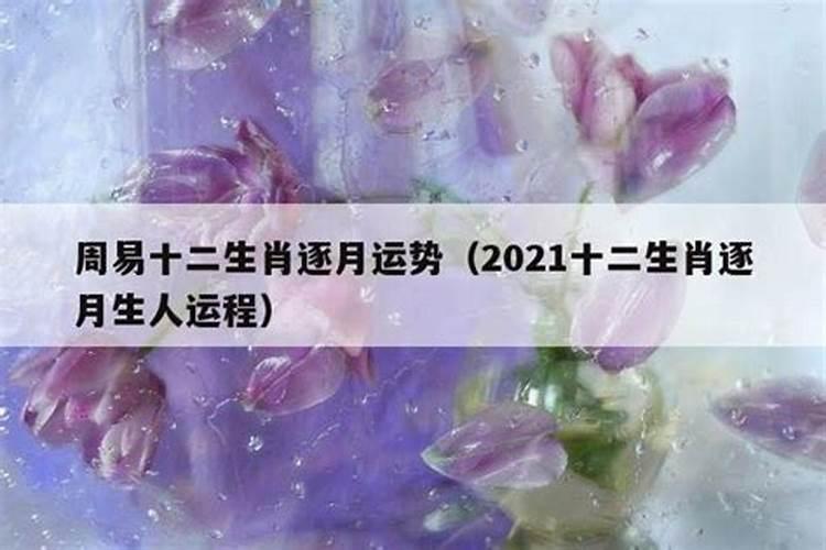 己卯年生人2021年运势