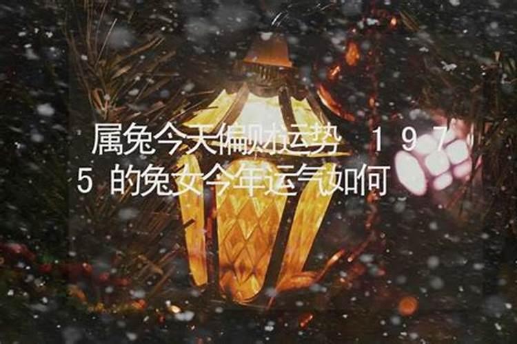 属兔今年偏财运势