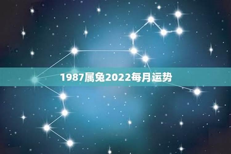 我今年1987年运势