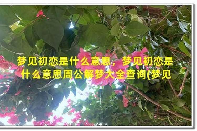 梦见初恋生孩子什么意思